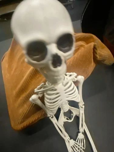 Meme bộ xương 47