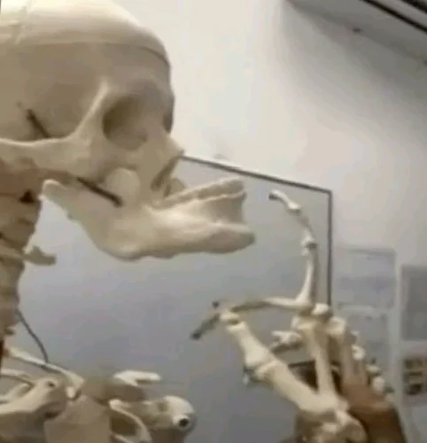Meme bộ xương 48
