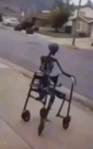 Meme bộ xương 58