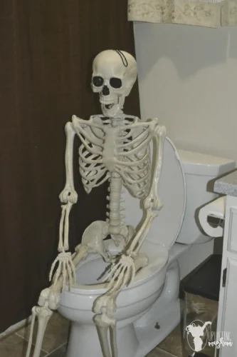 Meme bộ xương 5