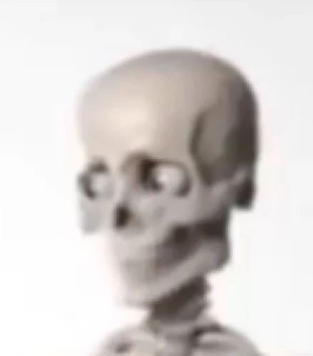Meme bộ xương 8