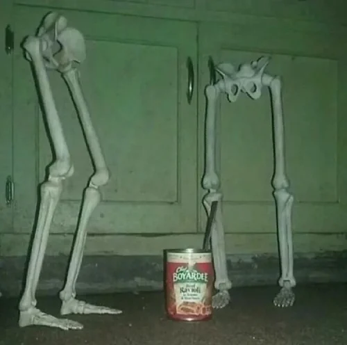 Meme bộ xương 11