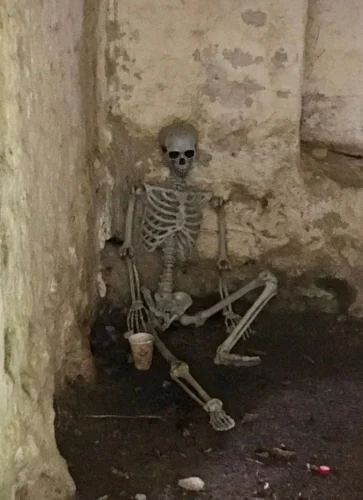 Meme bộ xương 13