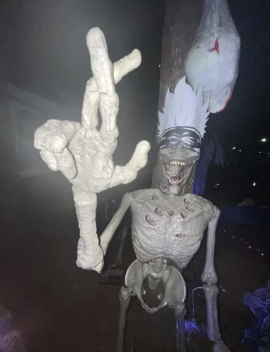 Meme bộ xương 15