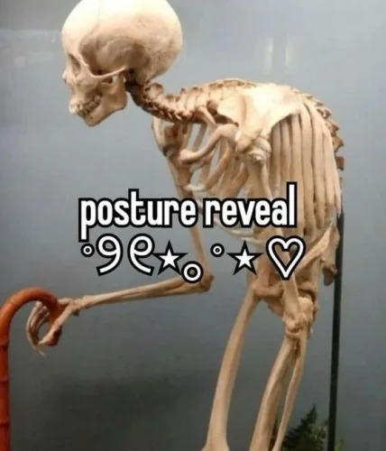 Meme bộ xương 29