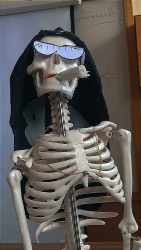 Meme bộ xương 42
