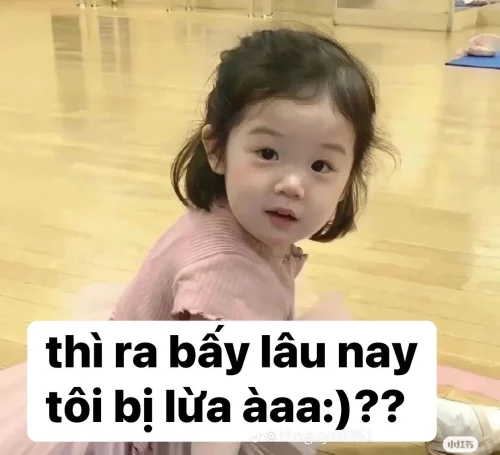 Meme bựa 24