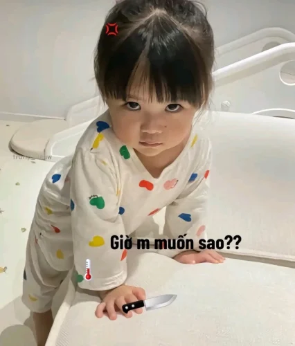 Meme bựa 29