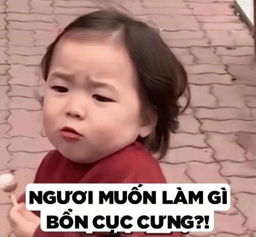 Meme bựa 30