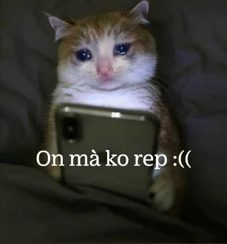Meme buồn 35
