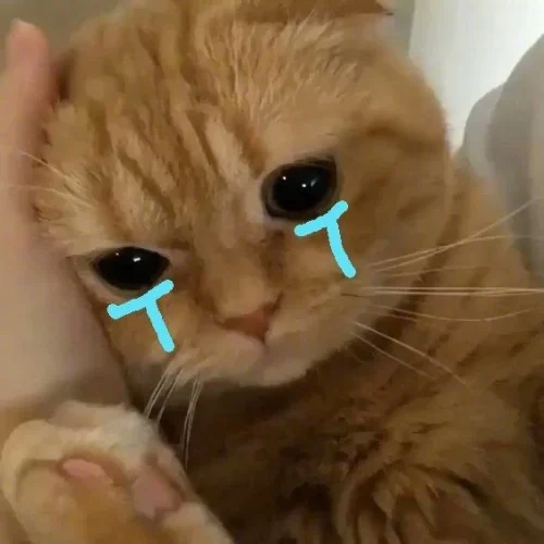 Meme buồn 39