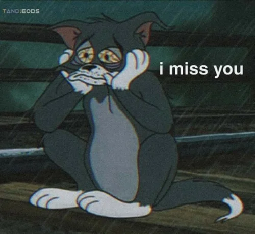 Meme buồn 41