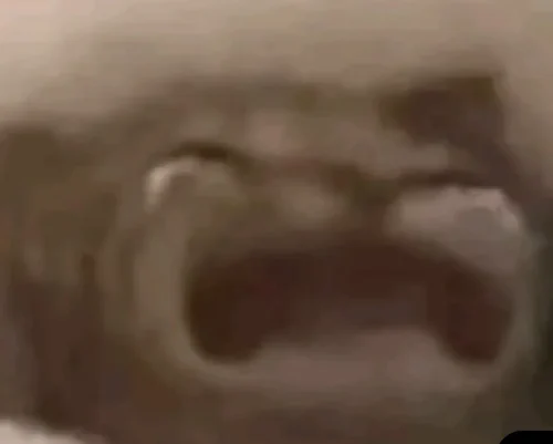 Meme buồn 42