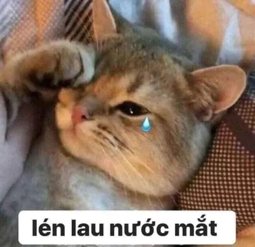 Meme buồn 46
