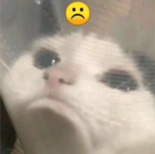 Meme buồn 47