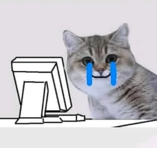 Meme buồn 48