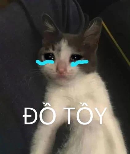 Meme buồn 49