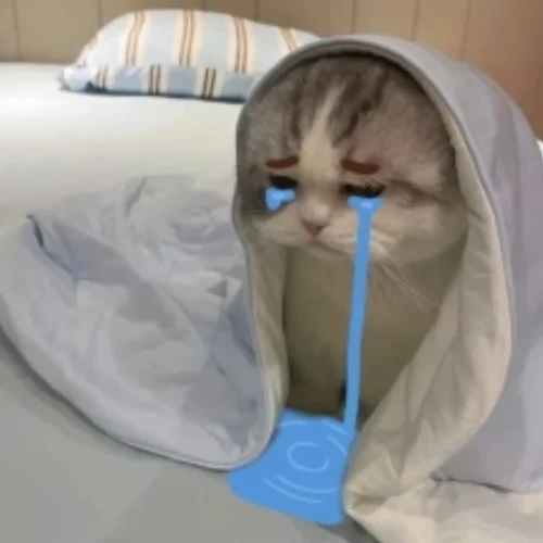 Meme buồn 50