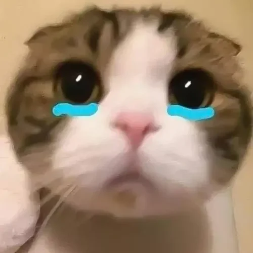 Meme buồn 53