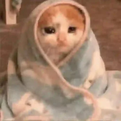Meme buồn 3