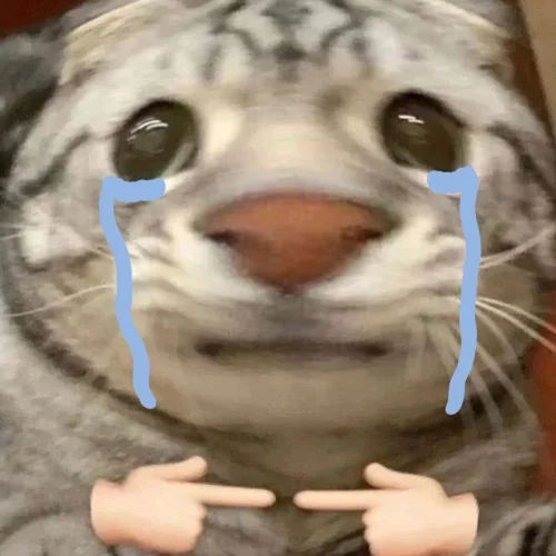 Meme buồn 7