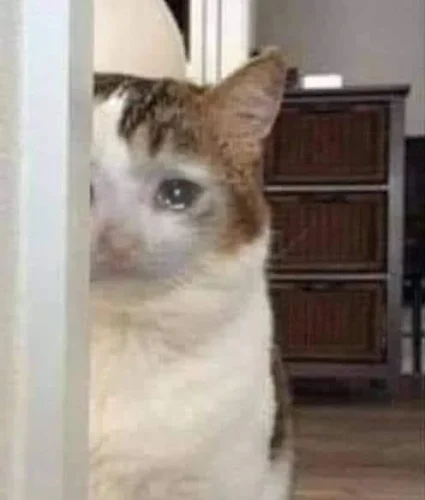 Meme buồn 8