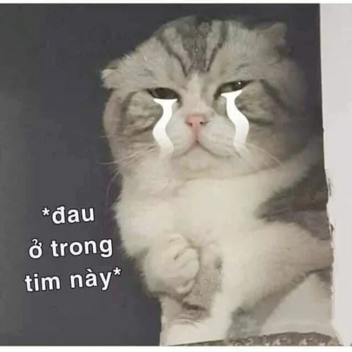 Meme buồn 11