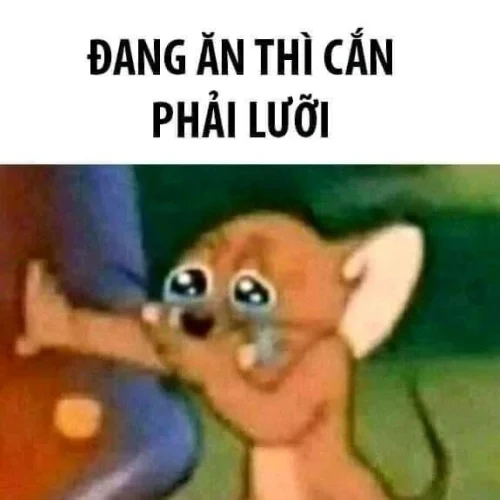 Meme buồn 14