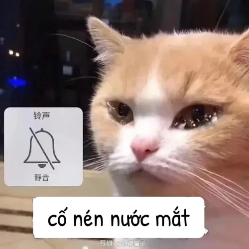 Meme buồn 17