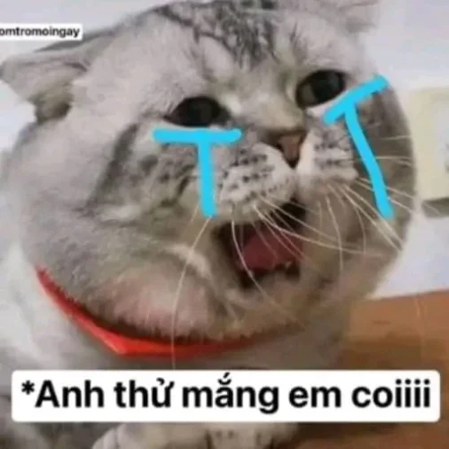 Meme buồn 18