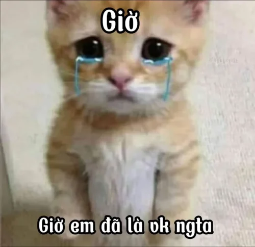 Meme buồn 19