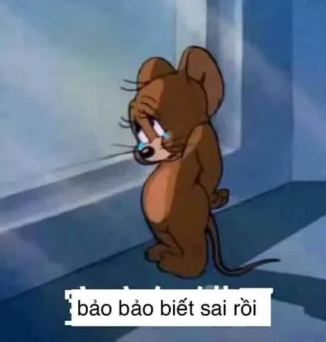 Meme buồn 21