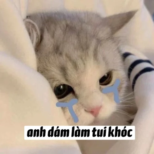 Meme buồn 22