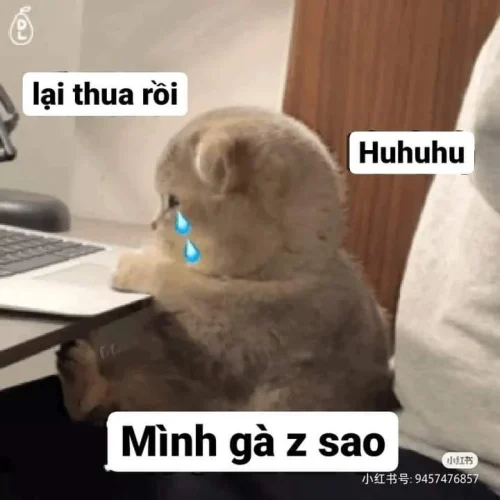 Meme buồn 23