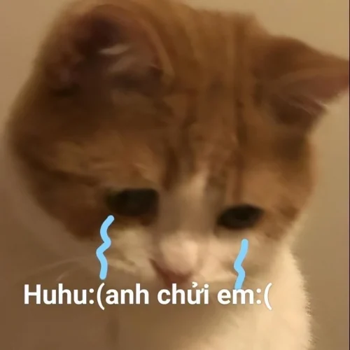 Meme buồn 26