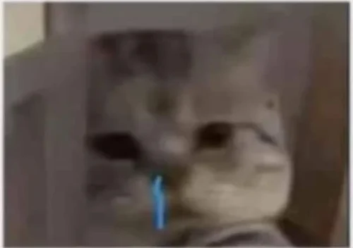 Meme buồn 29