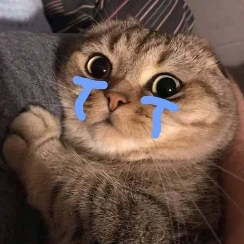 Meme buồn 30