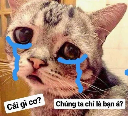 Meme buồn 36