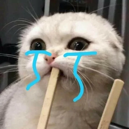 Meme buồn 39