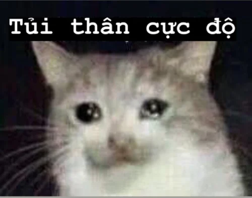 Meme buồn 43