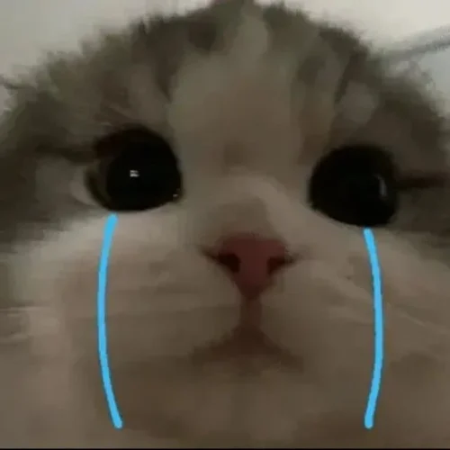 Meme buồn 47