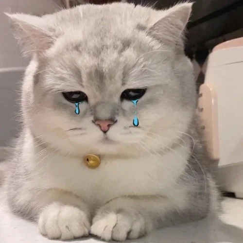Meme buồn 49