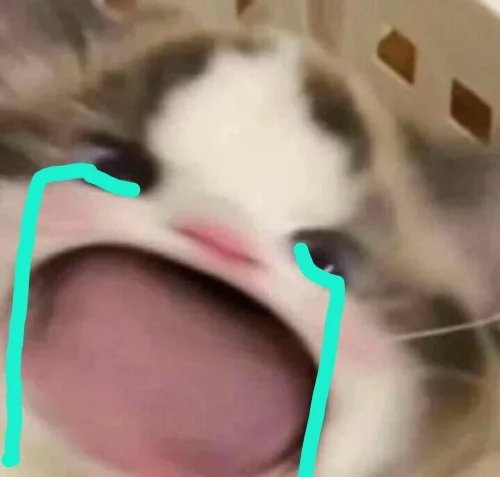 Meme buồn 51