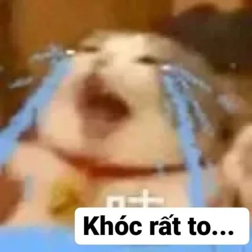Meme buồn 56