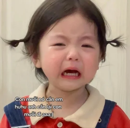 Meme buồn 58