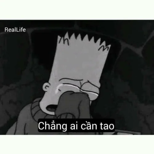 Meme buồn 2