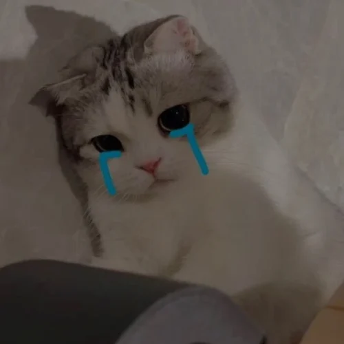 Meme buồn 4