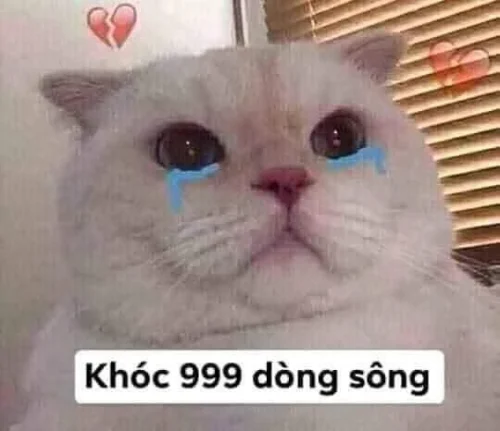 Meme buồn 7