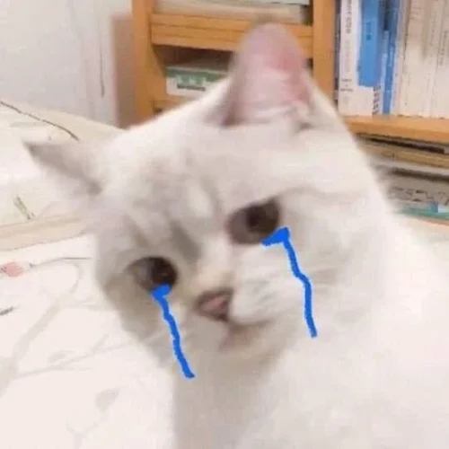 Meme buồn 9