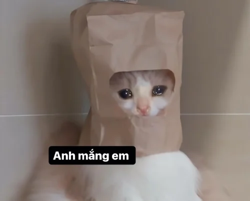 Meme buồn 10